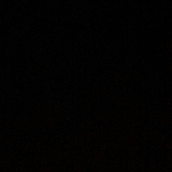 Meet your Posher, Avery - Picture 1 of 1